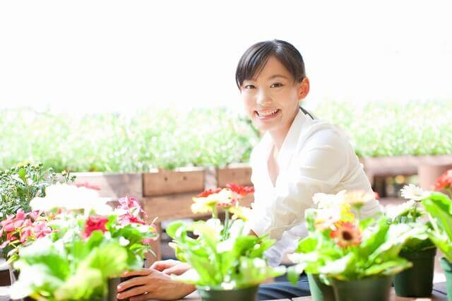 室内やプランターでディルの育て方 土づくり 水やり方法 ハーブ資格 Com